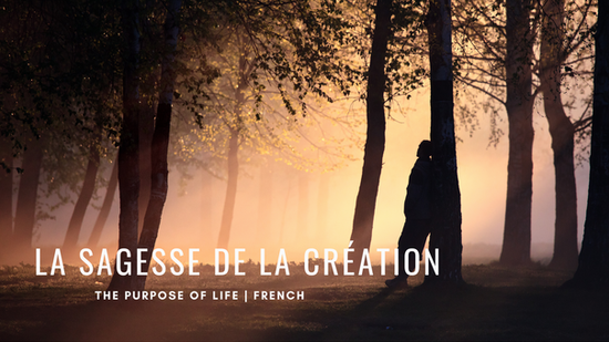 The Purpose of Life |  French